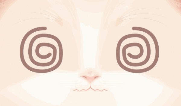 有種心律失常叫「衣領綜合徵」,穿高領、系圍巾都要小心了 有種心律失常叫「衣領綜合徵」,穿高領、系圍巾都要小心了