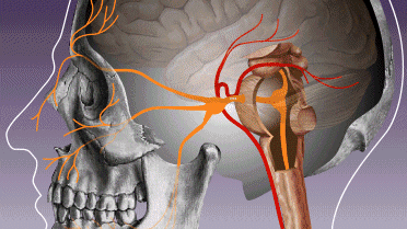 【世界鎮痛日】世界上最疼的是哪些病？但願你一個都遇不到