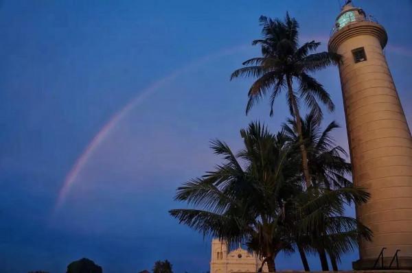 斯里蘭卡--回味無窮的青橄欖