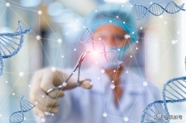 男性減肥福音：刪除這個基因