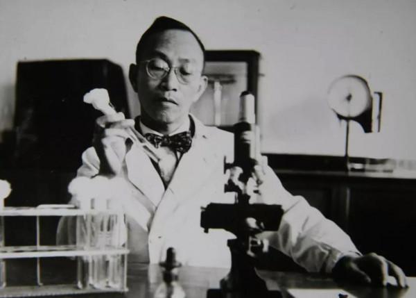 我國青黴素,如何從“天價”到“白菜價”,並佔全球90%的市場 我國青黴素,如何從“天價”到“白菜價”,並佔全球90%的市場