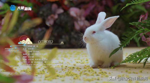 專題：中秋奇妙游來了