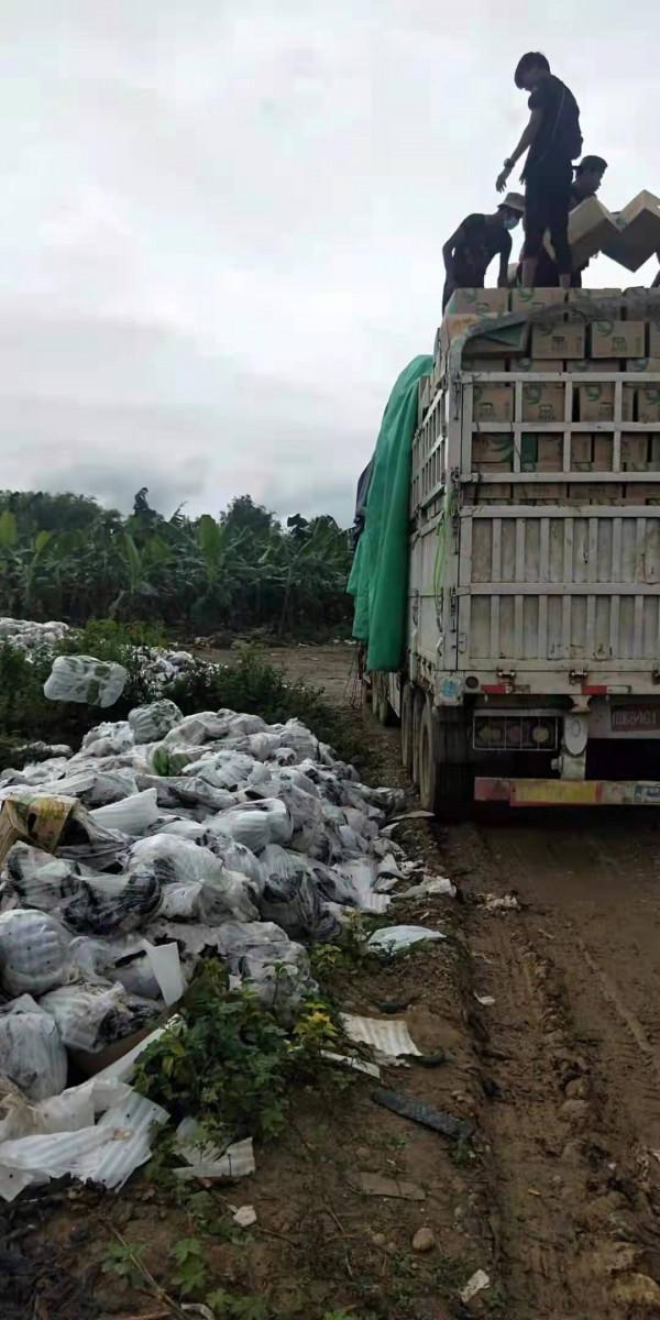 緬北蕉農困境:因疫情長期封關,上百噸香蕉爛在地裡,蕉農虧損慘重 緬北蕉農困境:因疫情長期封關,上百噸香蕉爛在地裡,蕉農虧損慘重