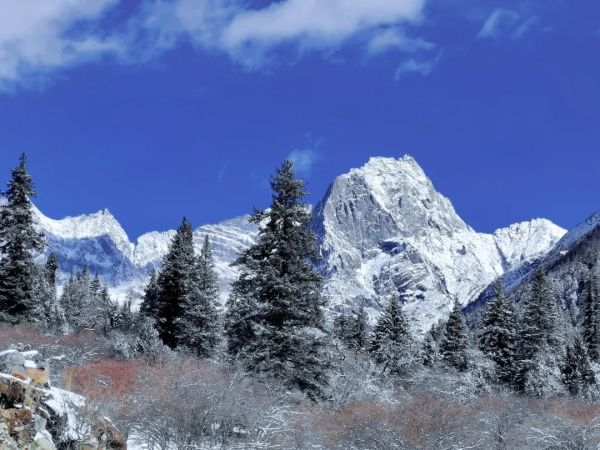 這個週末最浪漫的事，就是在四姑娘山來邂逅一場美好