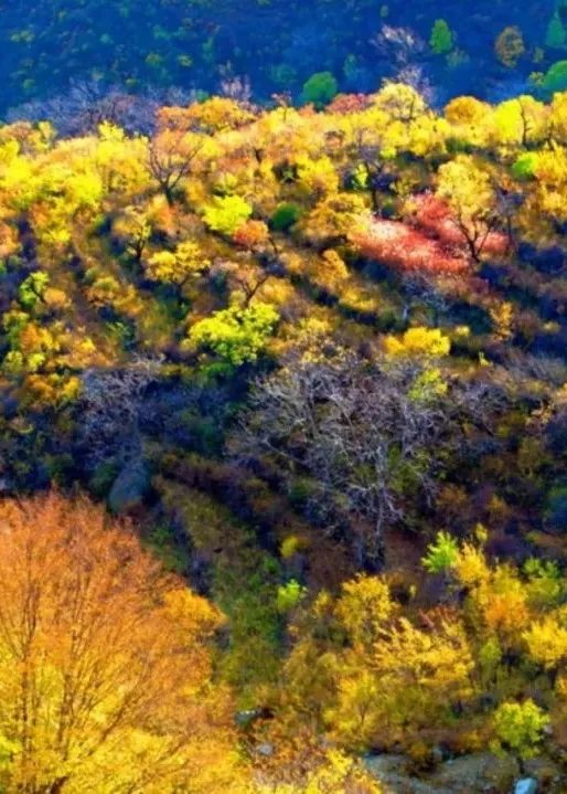 公路之旅！秋意濃，房山紅 | 快來解鎖貫穿美景的靈魂公路