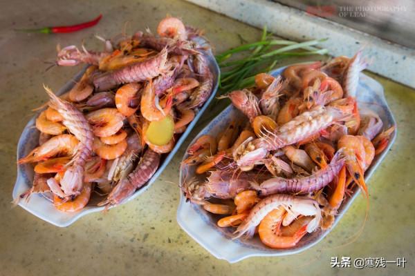 二十人4500元包船出海捕魚，捕獲的海鮮吃完一餐，每人還分到一箱