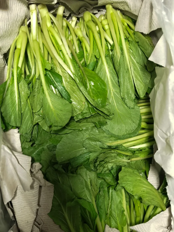 你可能想不到,海軍護航官兵最喜歡的菜品你天天都能吃到 你可能想不到,海軍護航官兵最喜歡的菜品你天天都能吃到