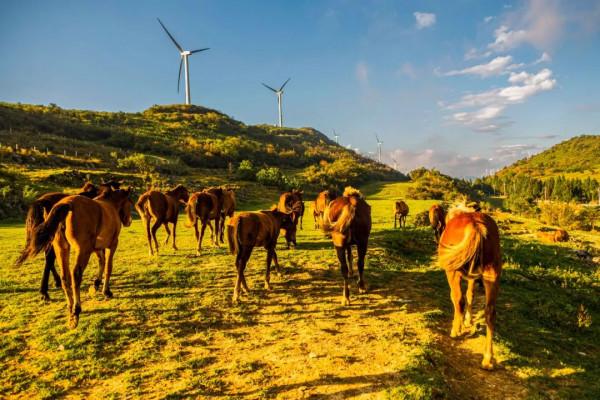 11月，看湖北，疊翠流金！