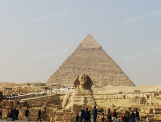 這一年，我們透過頭條看世界