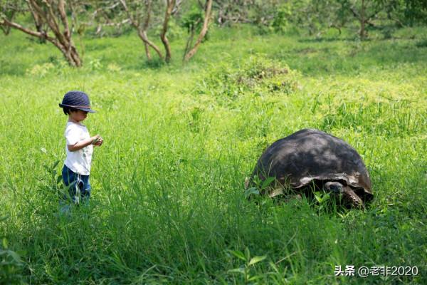 我拍的10種動物,你能認出一半就很厲害了 我拍的10種動物,你能認出一半就很厲害了