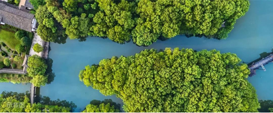 打造全球神往的森林群島“度假星球”