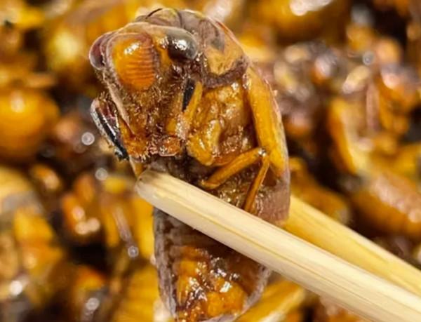 過年吃知了猴的禁忌，你知道嗎？不妨提前瞭解一下