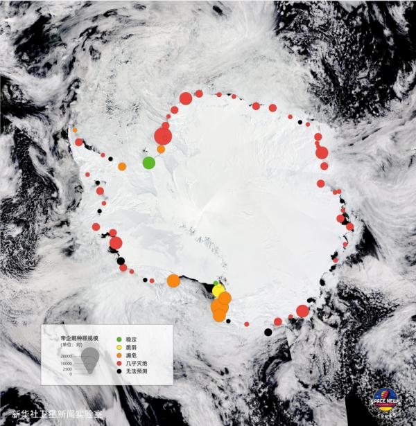 衛星預警:帝企鵝的命運 衛星預警:帝企鵝的命運