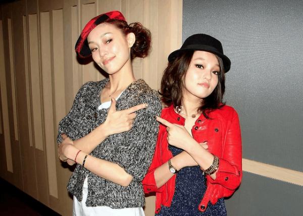 娛樂圈6對死對頭，趙文卓甄子丹約架，范瑋琪張韶涵曾是好閨蜜