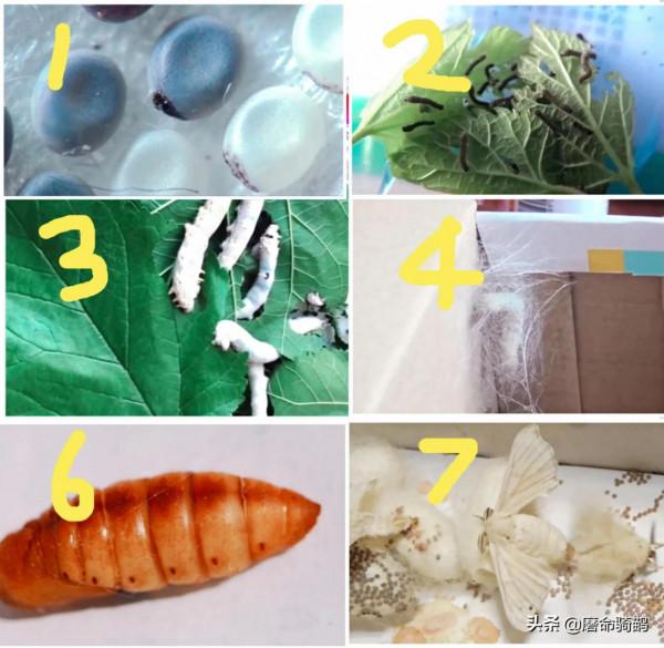 八九十年代童年老物件45個,大部分已經消失,或者就快要消失了 八九十年代童年老物件45個,大部分已經消失,或者就快要消失了