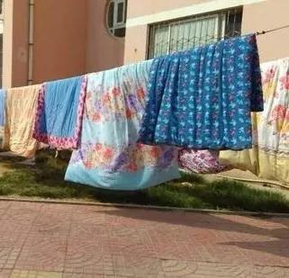 到處宣揚我的隱私，毀我一生幸福，母親，你到底愛不愛我？