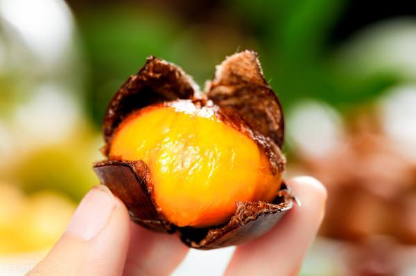 秒胖陷阱!2只雞爪一碗飯,6顆冬棗一碗飯,10個板栗一碗飯 秒胖陷阱!2只雞爪一碗飯,6顆冬棗一碗飯,10個板栗一碗飯