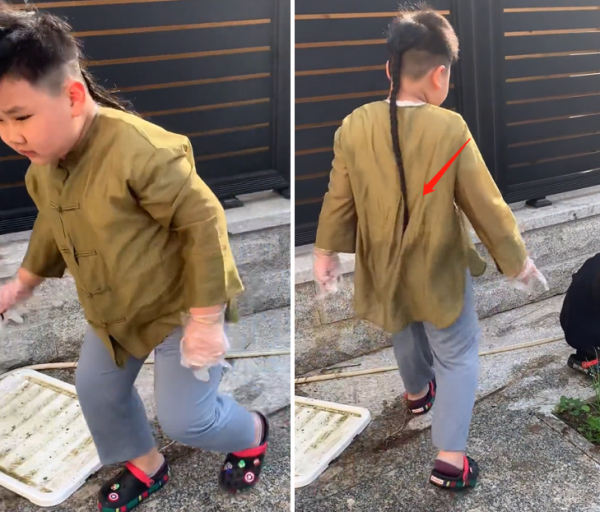 郭德綱6歲兒子罕見幹農活!拔草抓泥不嫌髒,大辮子齊腰髮量驚人 郭德綱6歲兒子罕見幹農活!拔草抓泥不嫌髒,大辮子齊腰髮量驚人