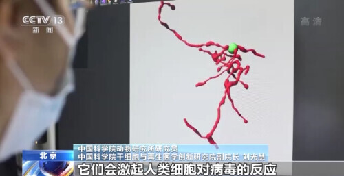 “老而不衰或實現”,中國科學家破譯部分衰老密碼 “老而不衰或實現”,中國科學家破譯部分衰老密碼