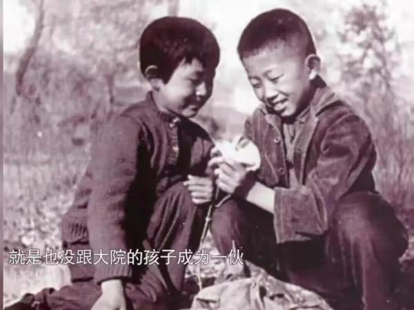 “人間異類”陳瑾：20年不吃米飯，不結婚不生育，她現在怎麼樣了