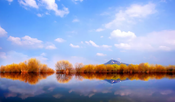 3萬株銀杏林把秋意渲染至極，第一眼就心動了