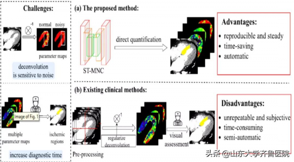 齊魯醫院心血管重構與功能研究實驗室取得系列重要進展