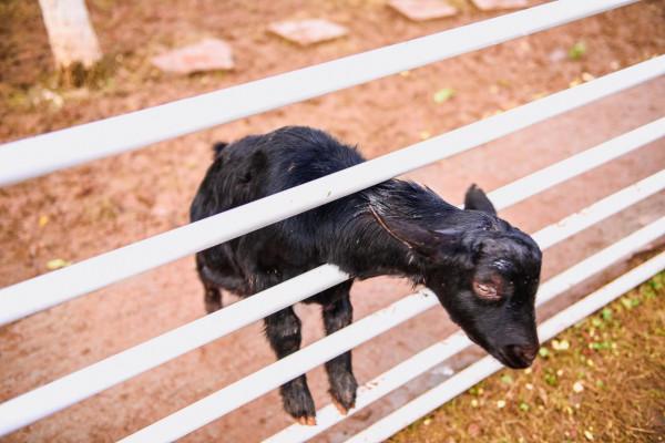 古藺城市新名片——酒街