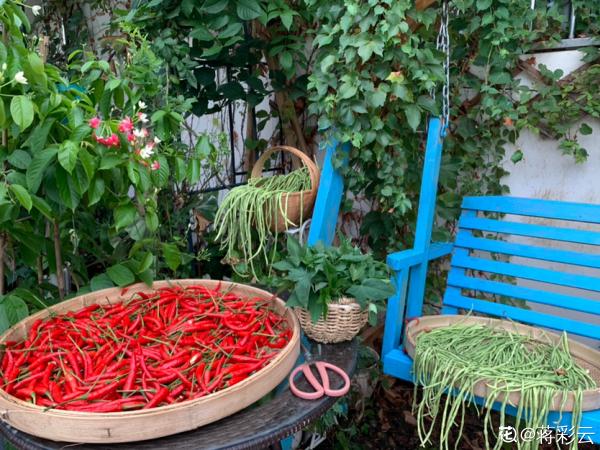 秋天又乏又燥，做好5件事，有效緩解“乏”和“燥”