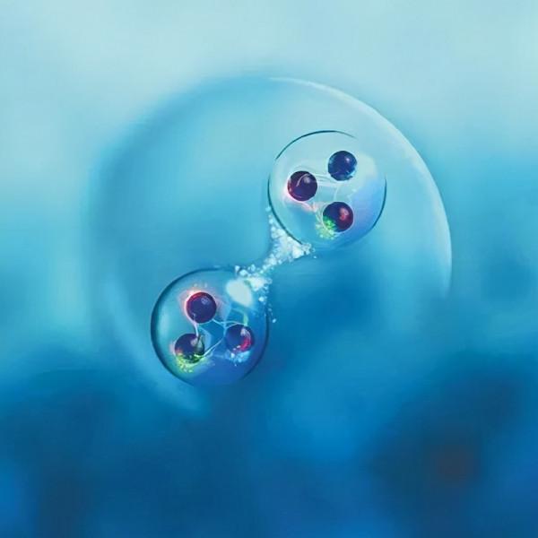 海外科技動態｜日本開發出一種抗衰老疫苗