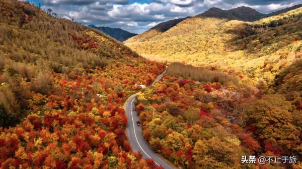 金秋旅遊旺季，東北這座小城開掛迎來中國最美早秋，讓人流連忘返
