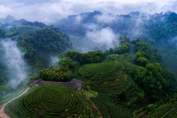 四川非常適合的養老城市，距成都120公里，擁有1573個醫療機構
