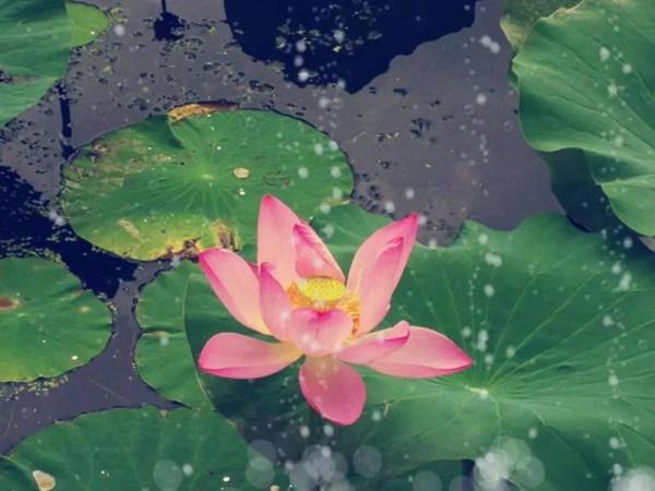 晏殊:神仙一曲《漁家傲》,直白傾瀉人生感喟 晏殊:神仙一曲《漁家傲》,直白傾瀉人生感喟