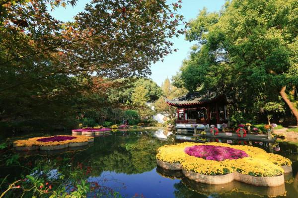 五彩斑斕！嘉定這裡美成這樣，還不快來