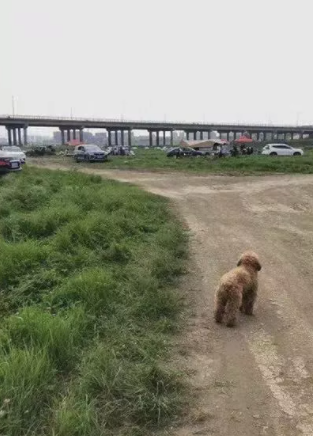 網紅照騙有風險？來羅浮山溫泉旅遊度假區，一秒真實出片！