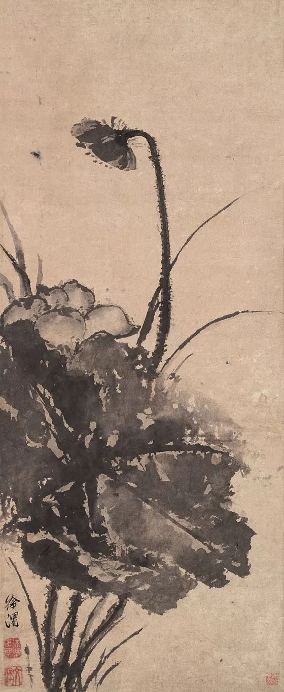 青藤白陽:明朝花鳥兩大高峰 青藤白陽:明朝花鳥兩大高峰