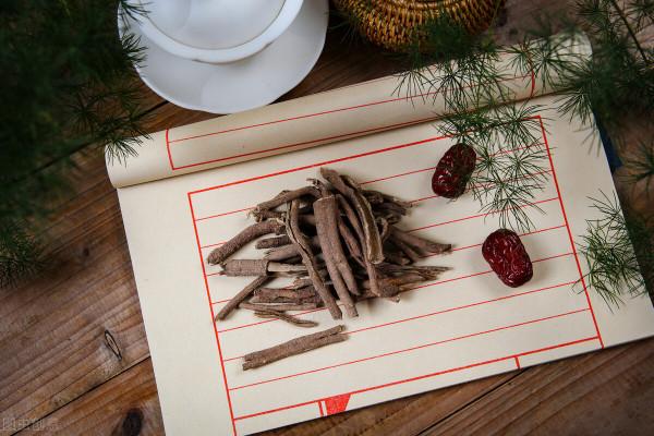 刺五加——一味可補脾、肺、腎、心的藥食同源中藥，不來了解下嗎