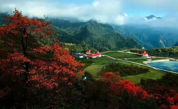 秋西嶺（中秋節快樂）