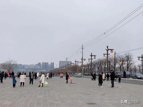 用生活來治癒生活？這是誰出的好主意