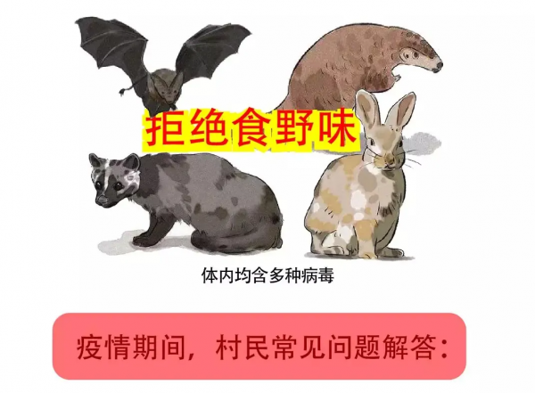 一圖讀懂 | 農村疫情防控怎麼做？