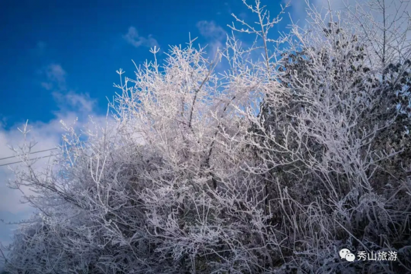 川河蓋又雙叒叕下雪了