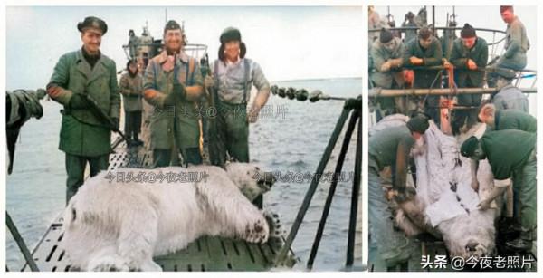 罕見的照片：日軍勒死黃鼠狼，德軍扒老鼠皮，美軍絞死日本前首相