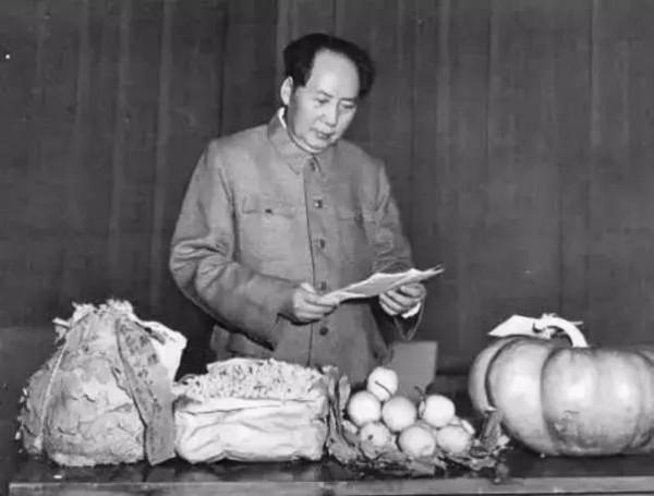 毛爺爺個人簡歷!無人能比 毛爺爺個人簡歷!無人能比