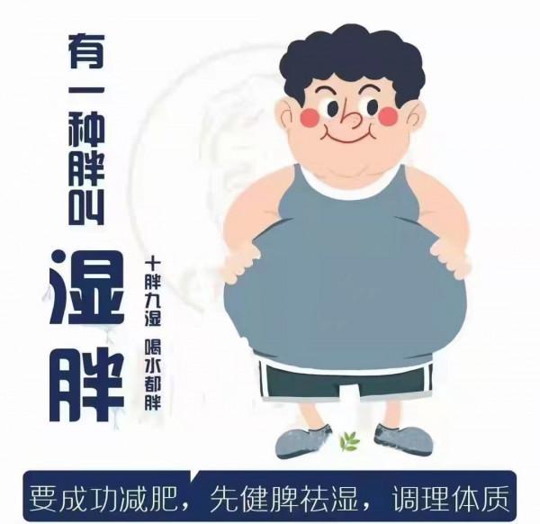 減肥減不動?“痰溼瘀虛”皆可胖,如何開啟減肥的正確方式? 減肥減不動?“痰溼瘀虛”皆可胖,如何開啟減肥的正確方式?