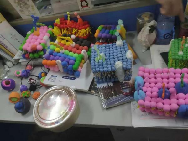 手巧心靈妙制“模”,流光溢彩話生物--生物模型製作比賽 手巧心靈妙制“模”,流光溢彩話生物--生物模型製作比賽