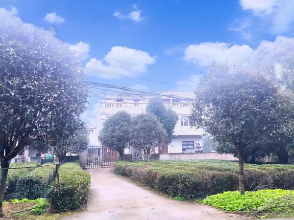 “光棍”爹爹 (上) “光棍”爹爹 (上)