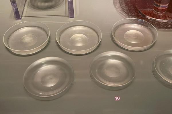 南海博物館看過嗎？琉璃與玻璃哪個在先？上了船有什麼不該說的