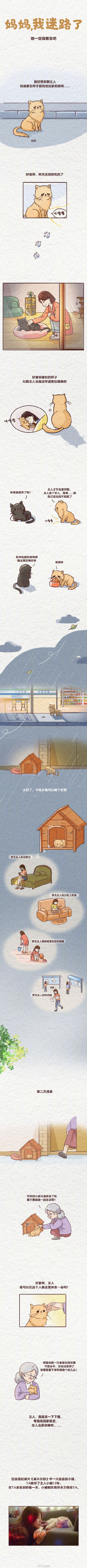 你知道你的寵物有多愛你嗎 你知道你的寵物有多愛你嗎