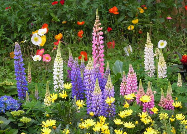 可以不吃但不可以不看