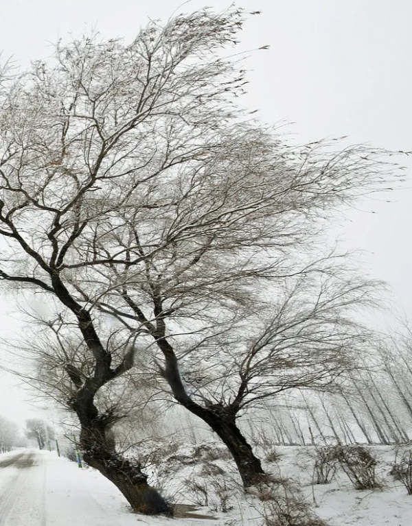 天氣預報:今天霜降,天氣晴朗有什麼預兆?看看老祖宗留下的諺語 天氣預報:今天霜降,天氣晴朗有什麼預兆?看看老祖宗留下的諺語