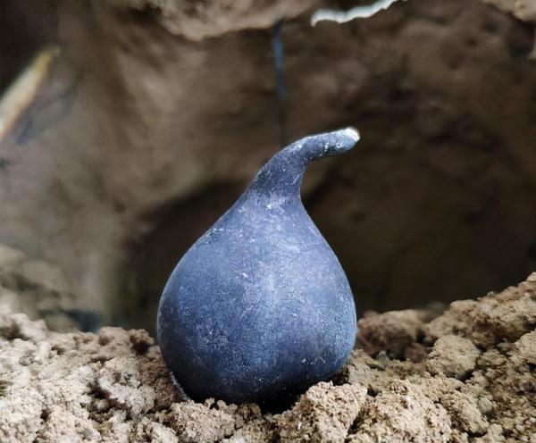 長在白蟻窩裡的菌類,價格比黃金還貴,為什麼挖到的人不願意賣? 長在白蟻窩裡的菌類,價格比黃金還貴,為什麼挖到的人不願意賣?